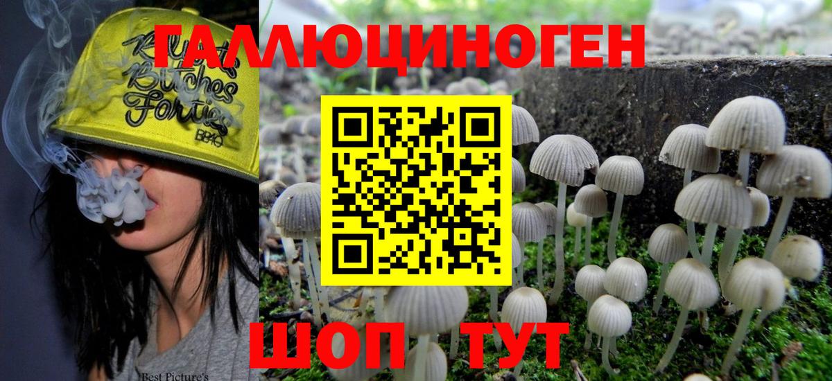 Новозыбков  Псилоцибиновые грибы ЛСД  Вход с VPN 