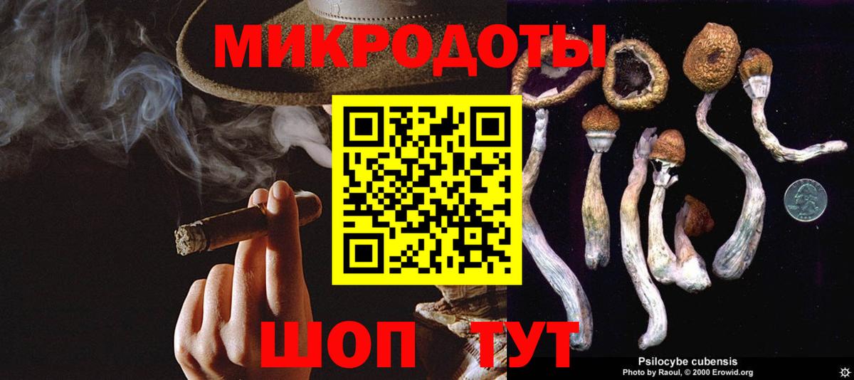 Alpha PVP Новозыбков