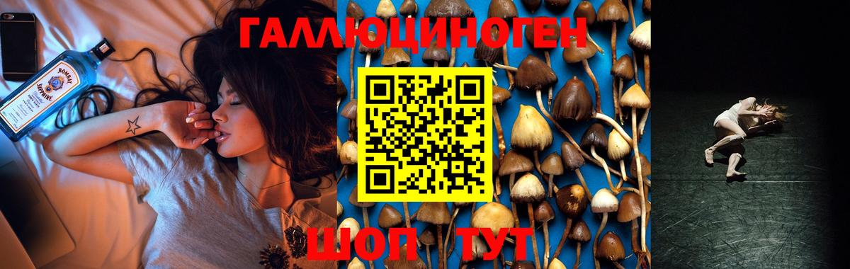 Галлюциногенные грибы мицелий Новозыбков